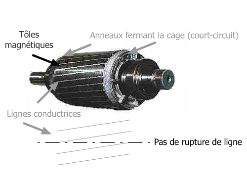 Rotor cage d'écureuil