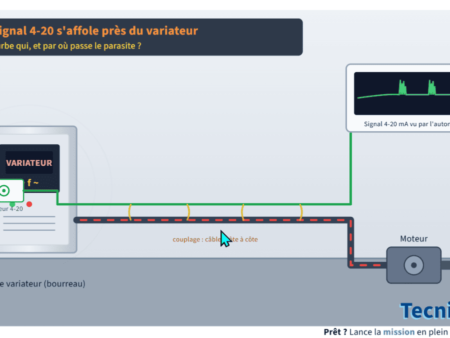 Transmission parasites, CEM blindages savoir faire