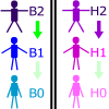 S'y retrouver dans les titres d'habilitation !. Rôle des autres habilités : BC HC BR BS.... Comment remplir un titre d'habilitation ? Restrictions recommandations. Rappel sur les titres d'habilitation. 