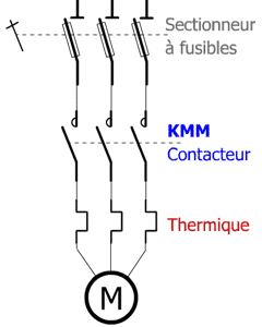 Oui